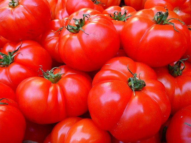 Przechowalnia dla pomidorów