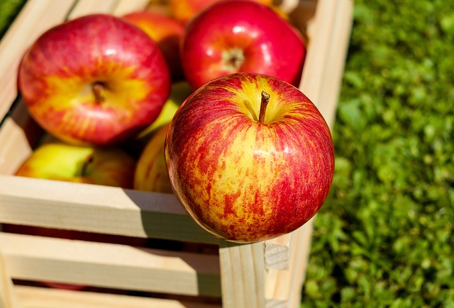 W jaki sposób powinniśmy przechowywać profesjonalnie jabłka?