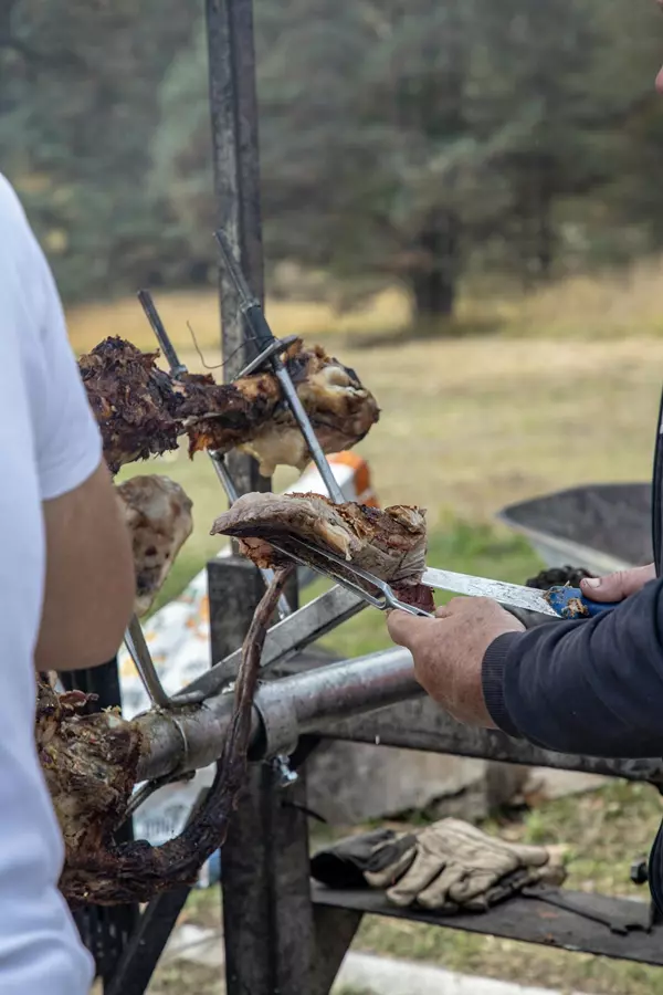 Jak dobrać odpowiedni hak do twojego stylu łowienia?